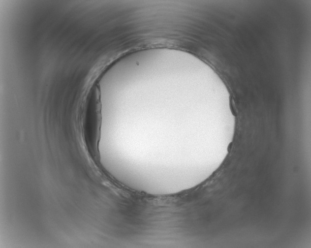 X0000053000241200508051141