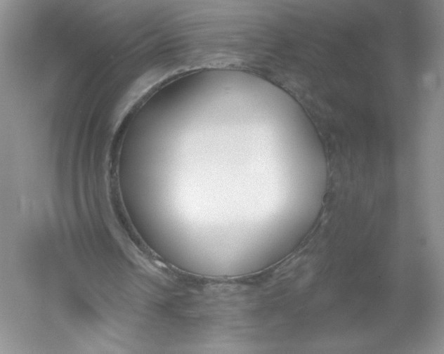 X0000053000242200508051141