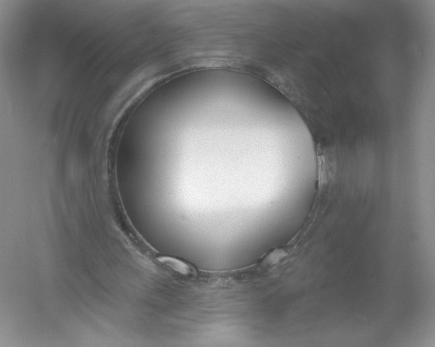 X0000053000243200508051141