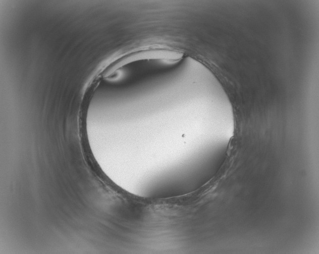 X0000053000244200508051141