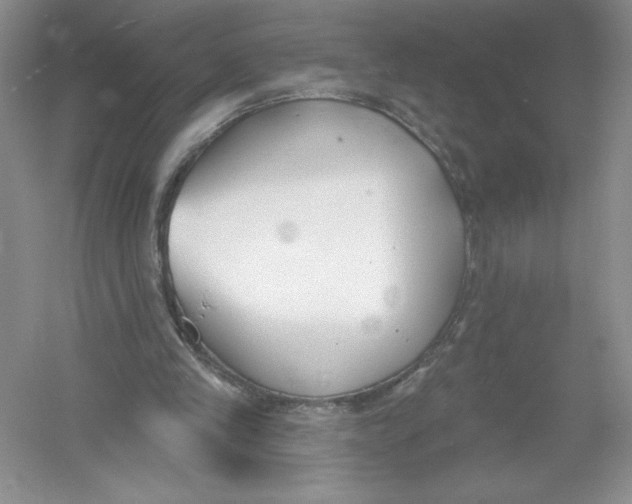 X0000053000245200508051141