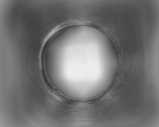 X0000053000246200508051141