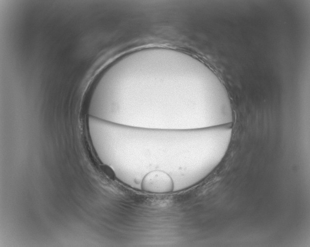 X0000053000247200508051141