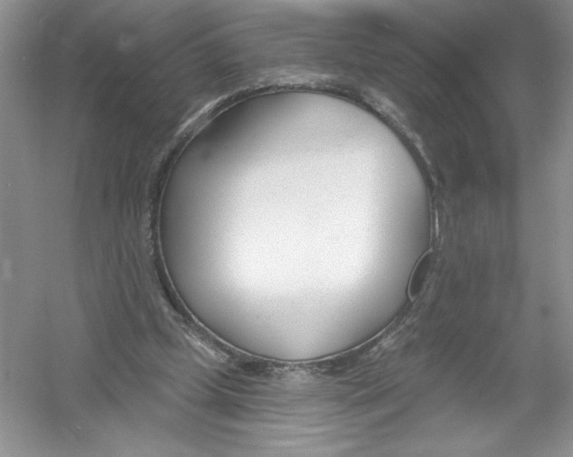 X0000053000249200508051141