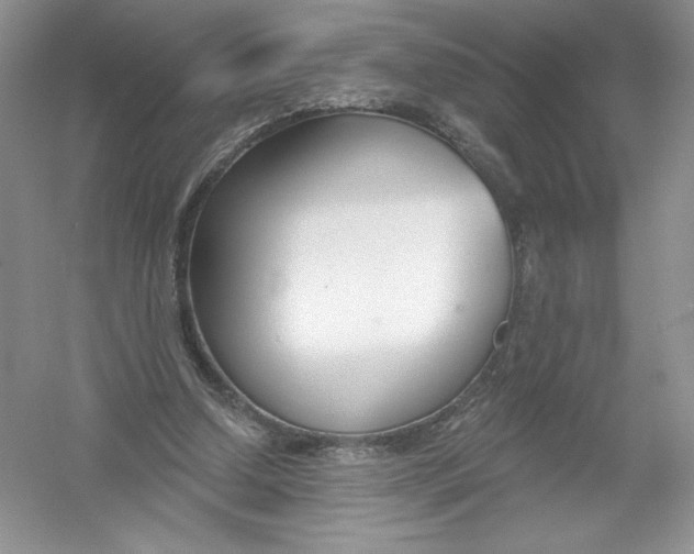 X0000053000250200508051141