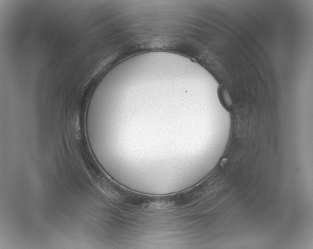 X0000053000251200508051141