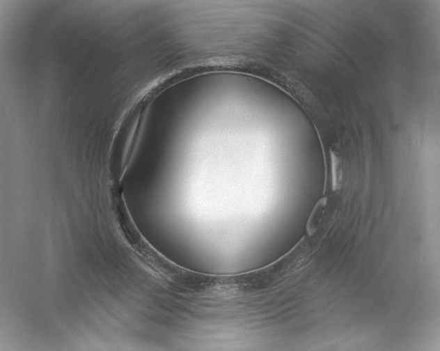 X0000053000252200508051142