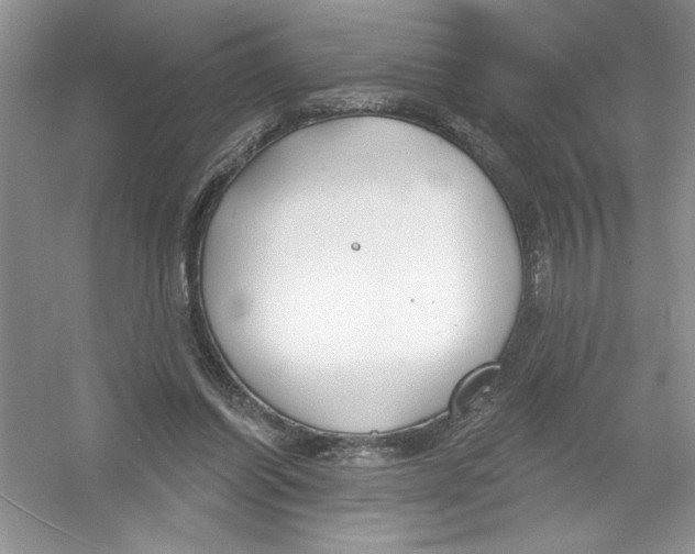 X0000053000254200508051142