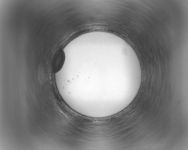 X0000053000255200508051142