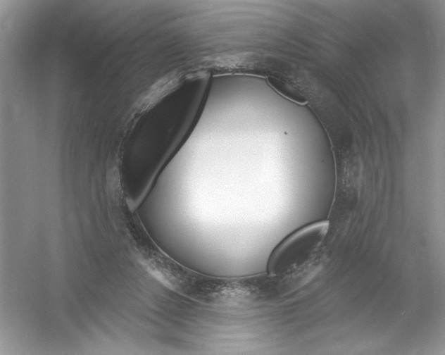 X0000053000256200508051142