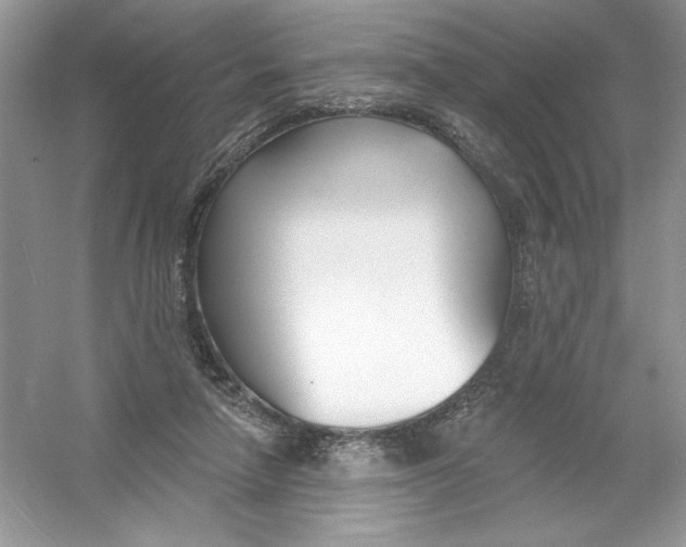 X0000053000258200508051142