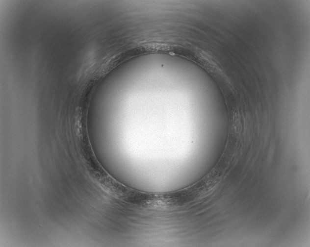 X0000053000259200508051142