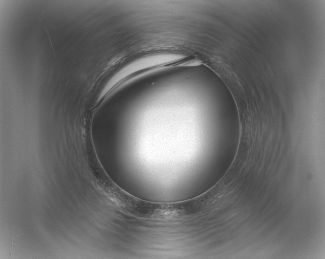 X0000053000260200508051142