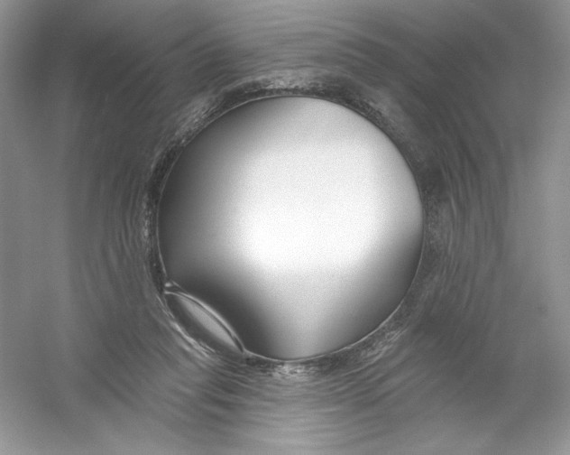 X0000053000261200508051142