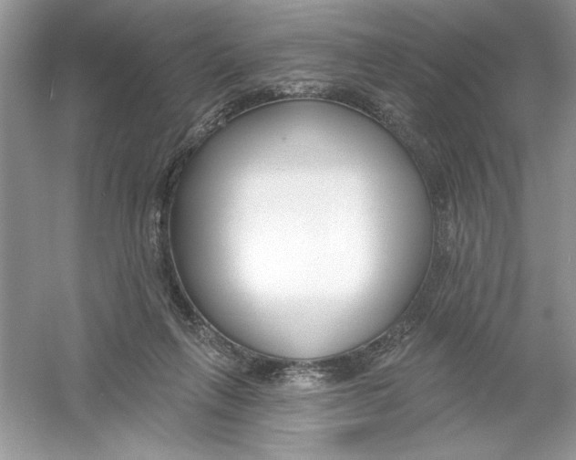 X0000053000263200508051142