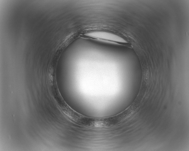 X0000053000264200508051142