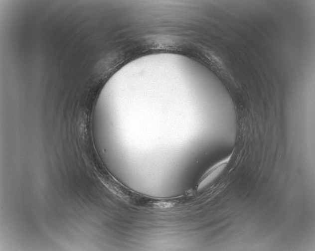 X0000053000265200508051142