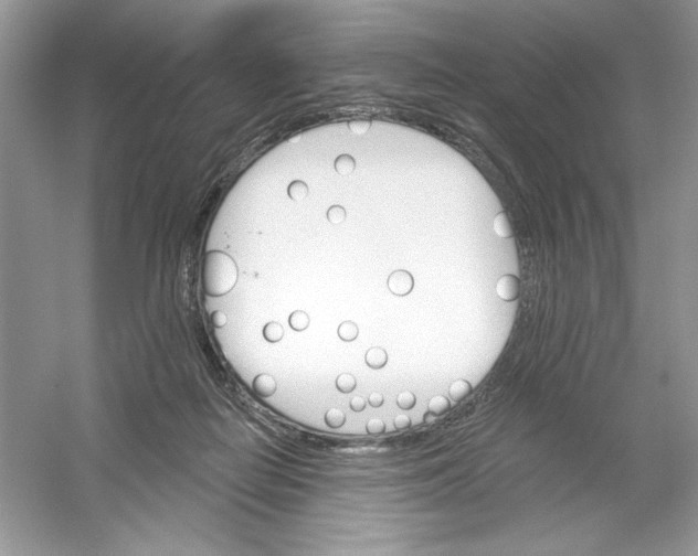 X0000053000266200508051142