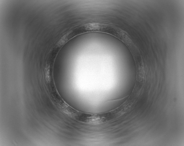 X0000053000267200508051142