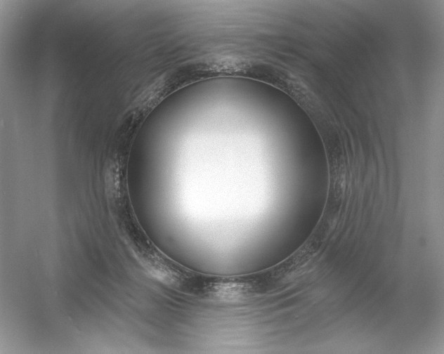 X0000053000268200508051142