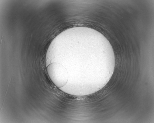 X0000053000270200508051142