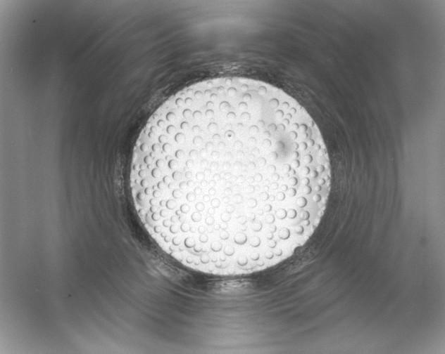 X0000053000274200508051142