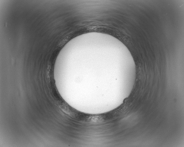 X0000053000275200508051142