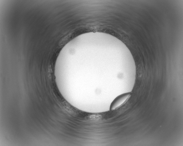 X0000053000279200508051142