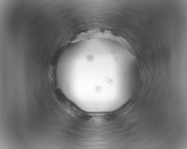 X0000053000280200508051142