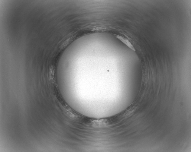 X0000053000281200508051142