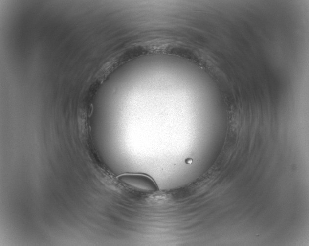 X0000053000283200508051142