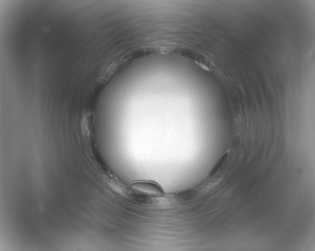 X0000053000286200508051142