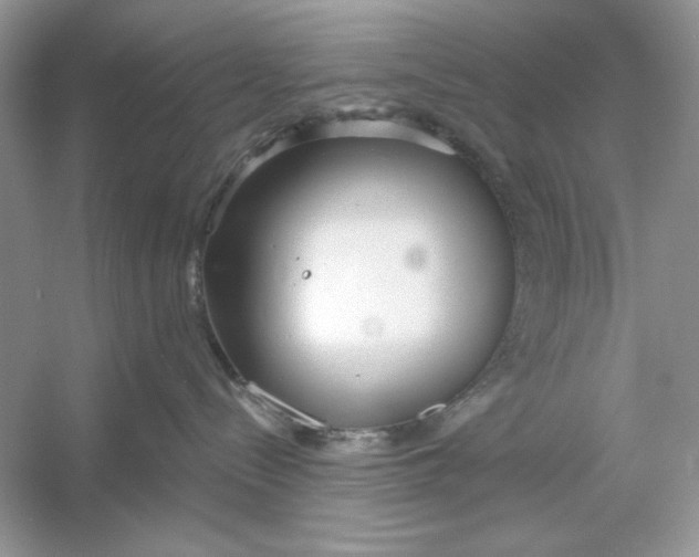 X0000053000288200508051142