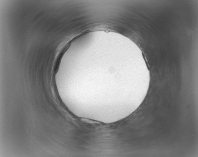 X0000053000289200508051141