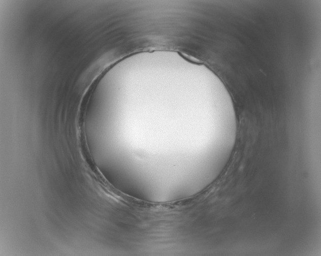 X0000053000290200508051141