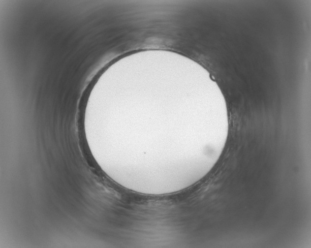 X0000053000292200508051141