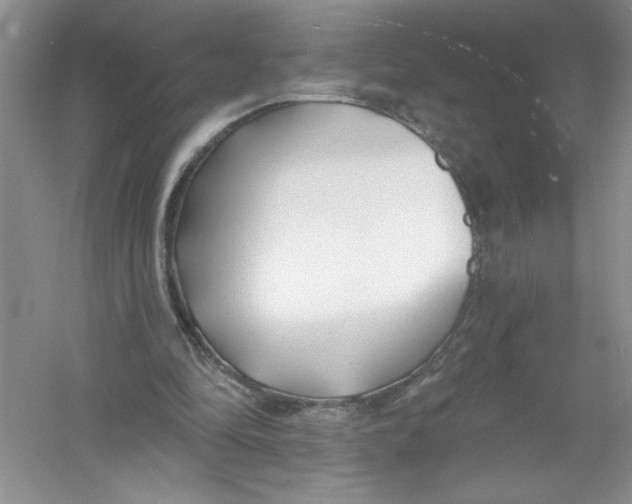 X0000053000294200508051141