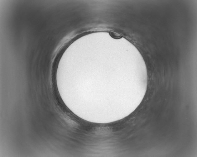 X0000053000296200508051141