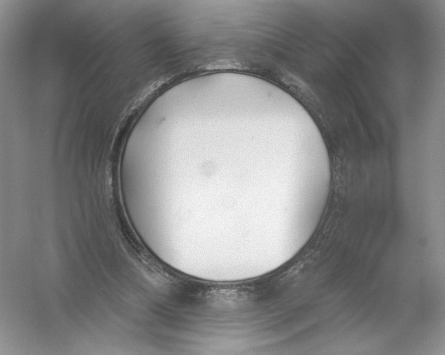 X0000053000298200508051141