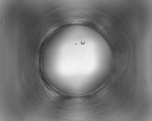 X0000053000299200508051141