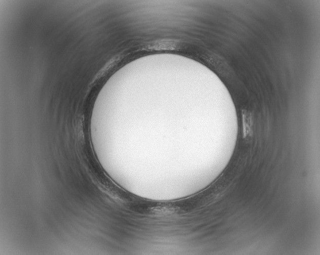 X0000053000300200508051141