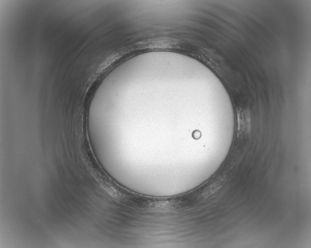 X0000053000301200508051141