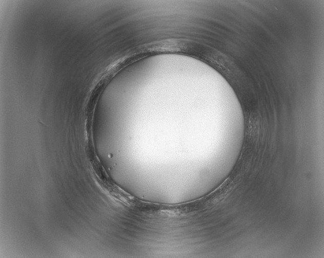 X0000053000302200508051141