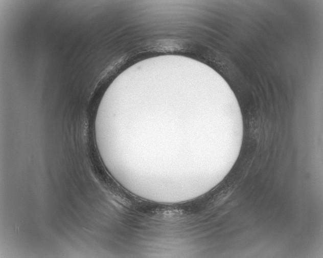 X0000053000304200508051141