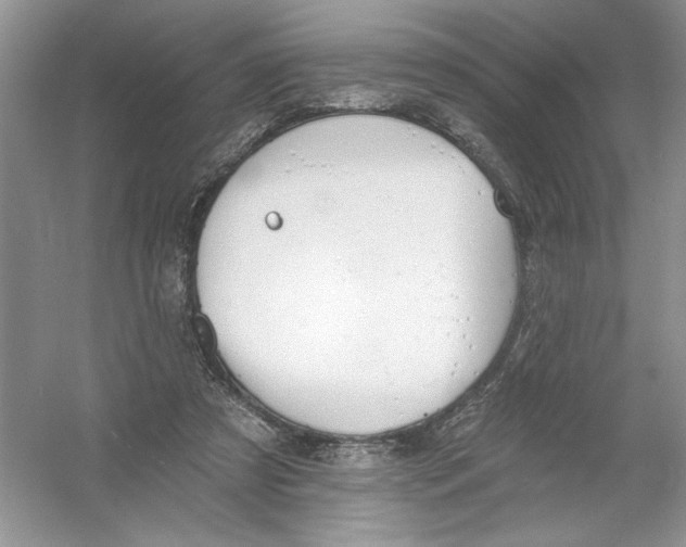 X0000053000305200508051141