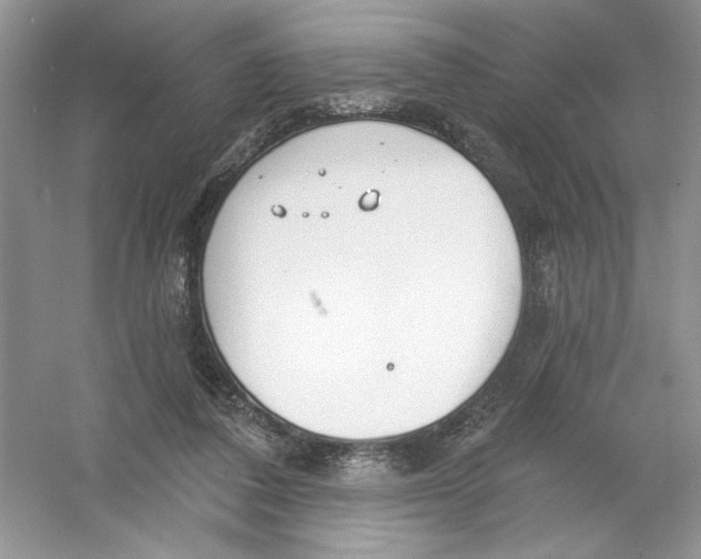 X0000053000308200508051141