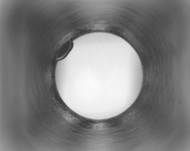 X0000053000309200508051141