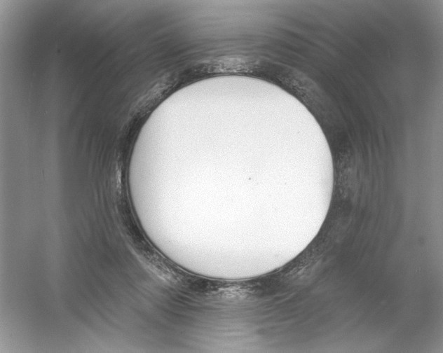 X0000053000310200508051141