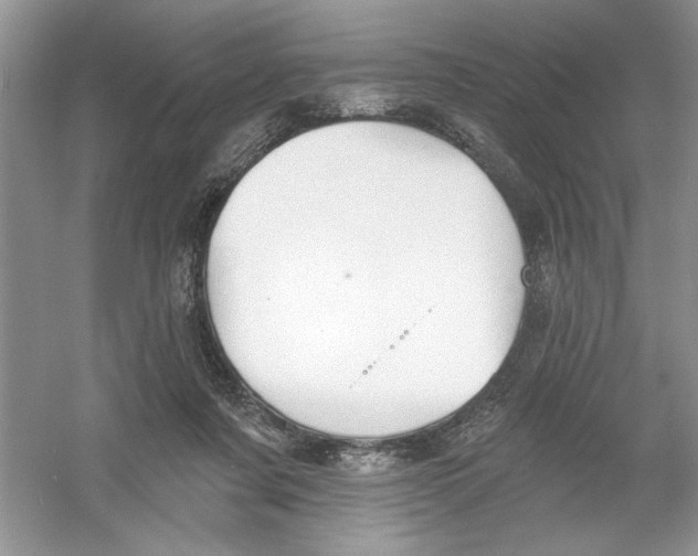 X0000053000311200508051141