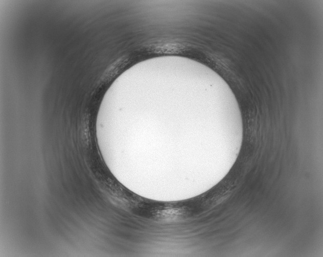 X0000053000312200508051141